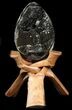 Septarian Dragon Egg Geode - Black Crystals #36712-1